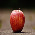 Wat betekent het spreekwoord de appel valt niet ver van de boom?