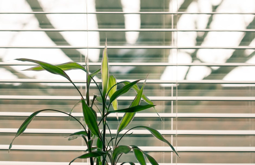 Deze drie houten lamellen kleuren zijn momenteel super trendy
